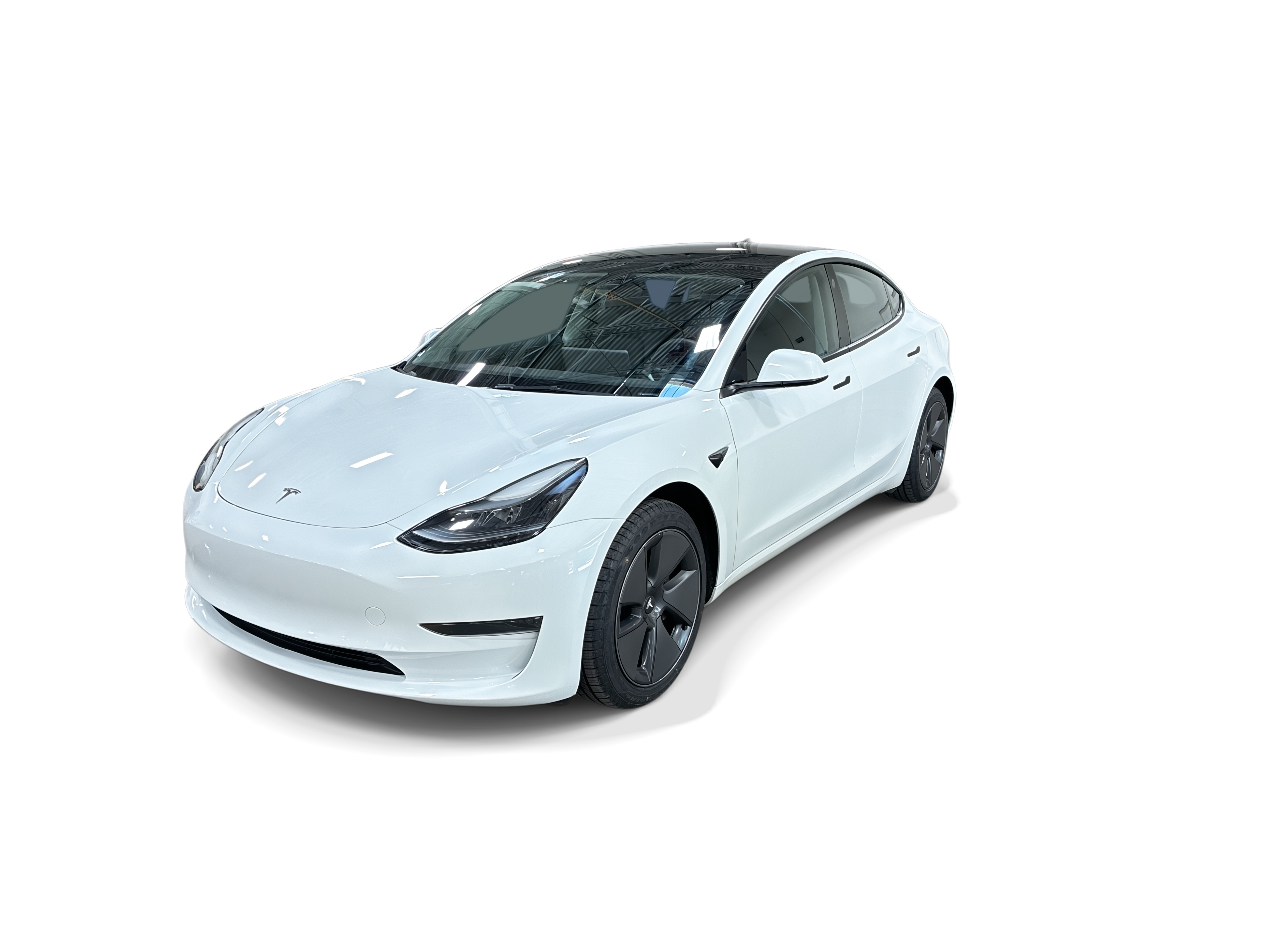 tesla model 3 2023 5YJ3E1EAXPF497883 image tesla model 3 2023 5YJ3E1EAXPF497883 image